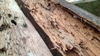 Doğal Çatlaklar ve Deliklerle Çürük Ahşap Doku Tasarım ve Sanat Projeleri için Yaşlanmış Tahta Arkaplan