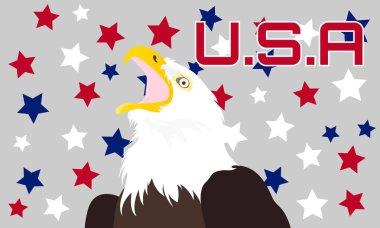 Birleşik Devletler bayraklı kel bir kartalın temsili. ABD Amerika geçmişi.