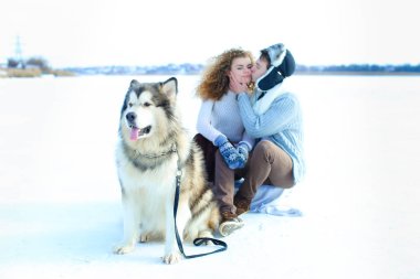 Husky kış arka planda öpüşme çift namlu kadar kapatın.