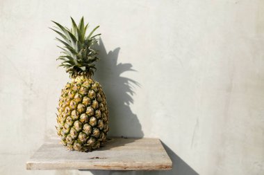 Çam-elma ayakta raf, gri duvar arka planda.