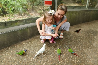 Young mother and little daughter enjoying with parrots outside in Thailand. clipart