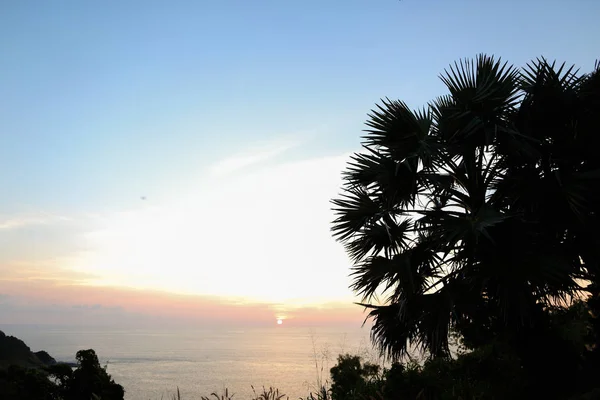 Sunset Sky och träd Silhouette. — Stockfoto