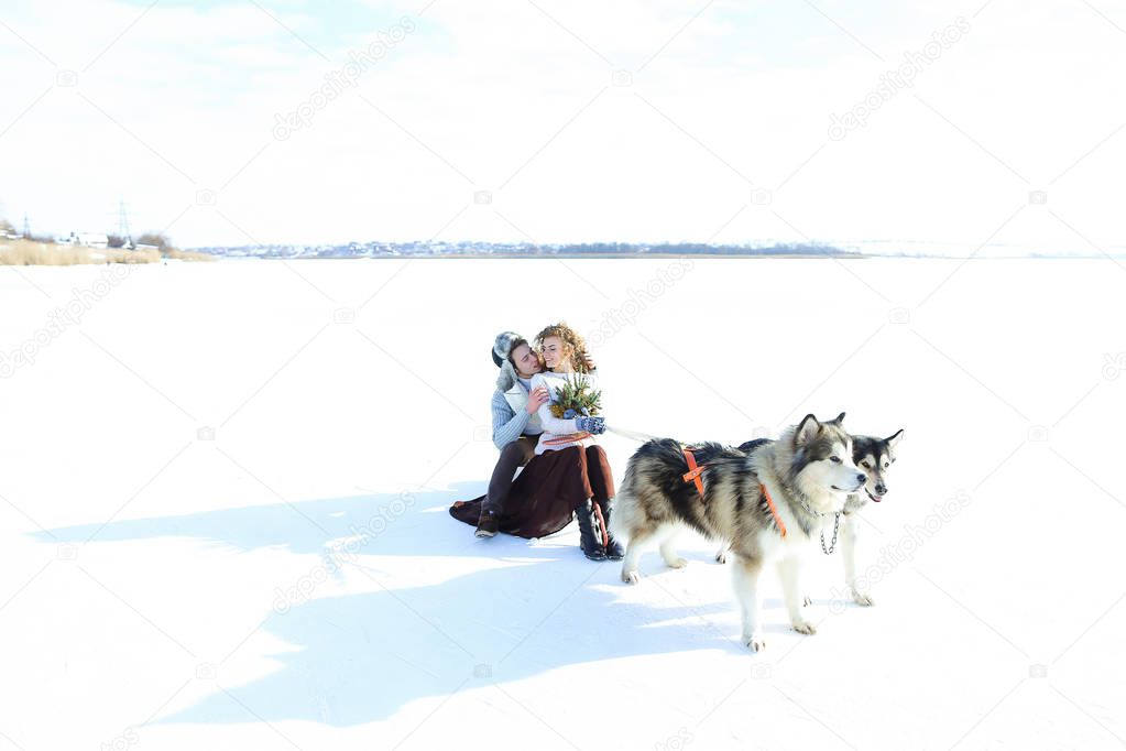 American woman and man sledging with huskies on snow.
