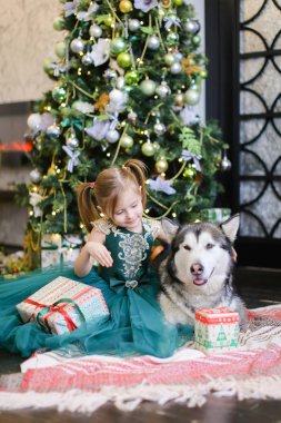 Küçük güzel kızım sittling malamute ve Hediyelik Noel ağacı yakınındaki.