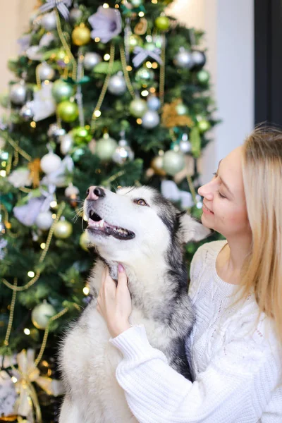 Portret młodej kobiety z malamute, drzewo Christms w tle. — Zdjęcie stockowe