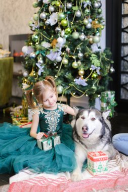 Mutlu kadın çocuk sittling malamute ve Hediyelik Noel ağacı yakınındaki.