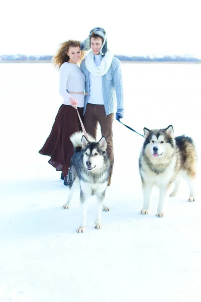 Kobietę i mężczyznę idącego z Husky w tle biały zima. — Zdjęcie stockowe
