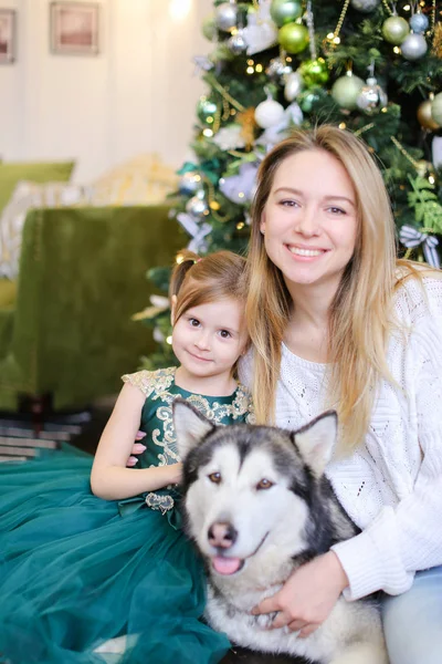 Joven madre sonriente sentada con hija pequeña y adulta husky cerca del árbol de Navidad . — Foto de Stock