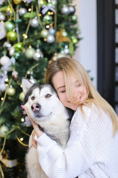 Portret van de jonge blonde vrouw met malamute, Christms boom op achtergrond. — Stockfoto