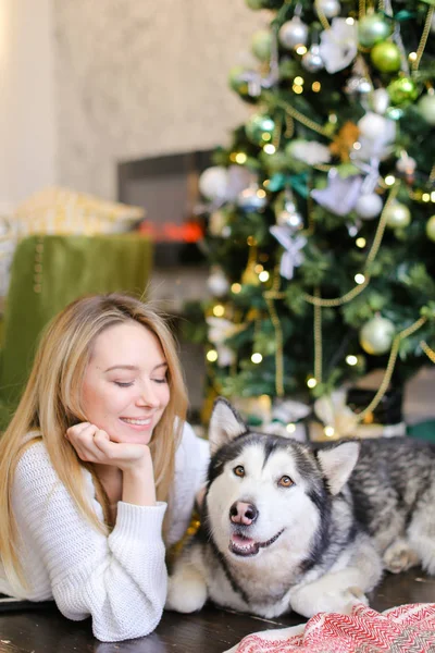 Joven bonita mujer acostada en el suelo con husky adulto cerca del árbol de Navidad . — Foto de Stock