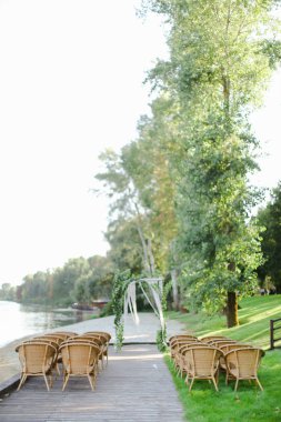 Yeşil gelin kemer ve sandalyeler Park huş ağacı.