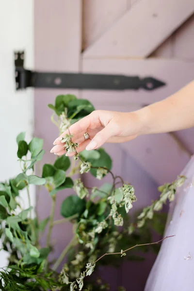 女性手触触摸植物 自然与人的概念 — 图库照片