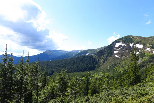 Çam ağaçları ve arka planda bulutlar ile Alp Dağları. — Stok fotoğraf