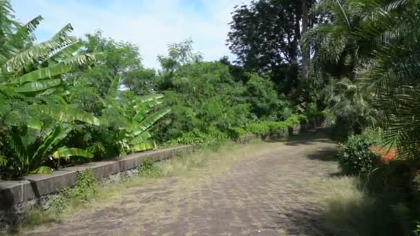 Turista de cámara lenta caminando en el jardín botánico de la isla . — Vídeos de Stock