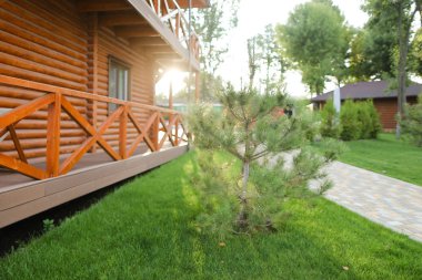 Sedir ağacı ahşap house resort civarındaki.