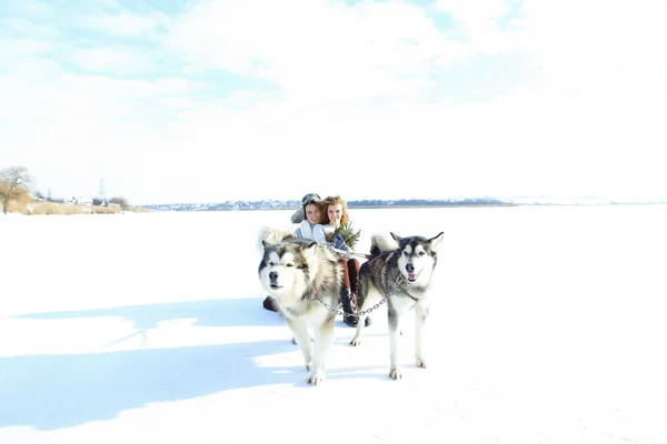 Dziewczyna i człowiek na sankach z huskies na śniegu. — Zdjęcie stockowe