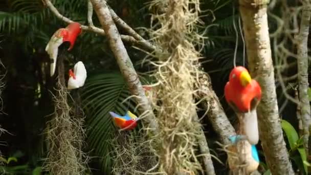 Lassú mozgás gyerek nézi dekoratív kompozíció állatkertben — Stock videók