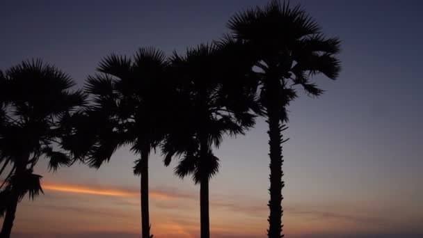 Rallentatore ragazza guardando al tramonto vicino hotel . — Video Stock