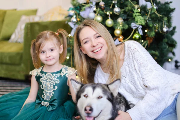 Jovem mãe sentada com a pequena filha e adulto husky perto da árvore de Natal . — Fotografia de Stock