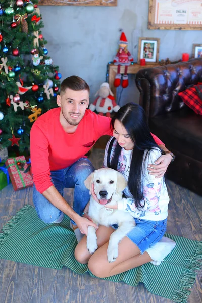 Homem e mulher sentados no chão com cão branco perto da árvore de Natal decorada . — Fotografia de Stock