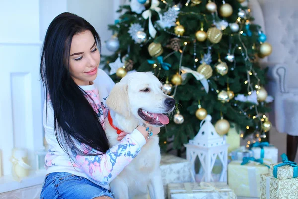 Mutlu kadın kişi ile dekore edilmiş Noel ağacı yakınındaki beyaz labrador oturuyor. — Stok fotoğraf