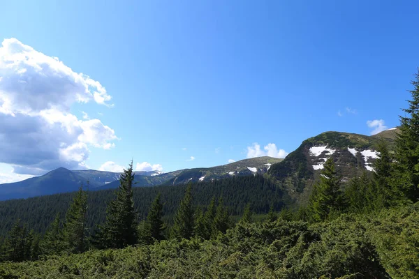 Paesaggio incredibile di montagne appenniniche con abeti e conifere natura . — Foto Stock