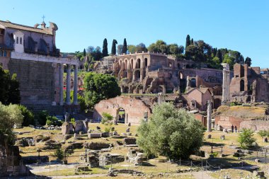 Güzel Roman Forum, kemerler ve sütunlar Roma, İtalya.