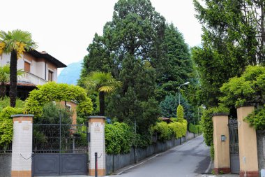 Mandello del Lario ve ağaçlar house yakınındaki güzel egzotik avuç içi.