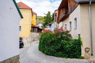 Avusturyalı kırsal binalar bitki ile dekore edilmiştir..