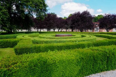 Kesilmiş yeşil çalılar ve ağaçlar mavi gökyüzü arka plan ile.