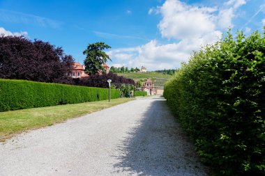 Avrupa Parkı kesilmiş ağaç ve mavi gökyüzü arka plan.