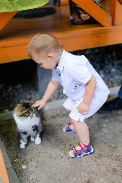 Kedi ile oynayan küçük erkek çocuk. — Stok fotoğraf