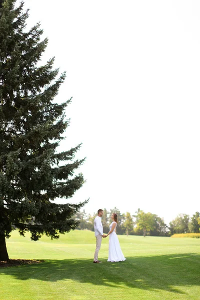 Noiva europeia jovem e noivo andando perto de abeto grande verde na grama no fundo do céu branco . — Fotografia de Stock