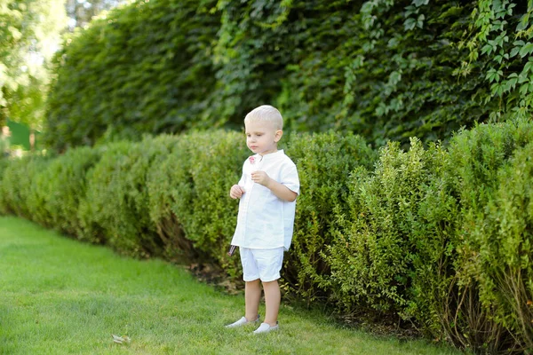 Niño varón con ropa blanca de pie cerca de arbustos verdes . — Foto de Stock