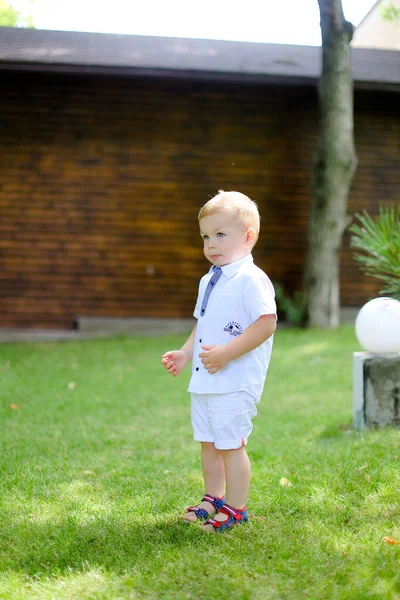 Pequeño caucásico macho bebé de pie en la hierba . — Foto de Stock