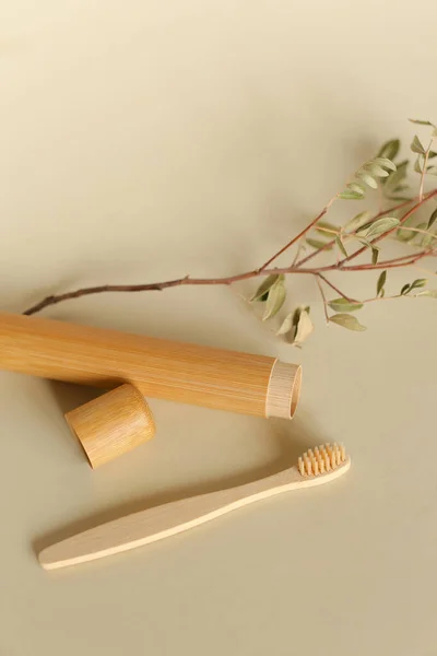 Escova de dentes de madeira ecológica e caso em fundo isolado perto do galho. — Fotografia de Stock