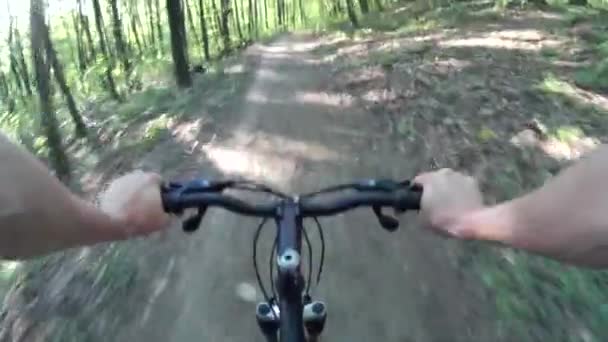 Ciclismo de montaña en un bosque. POV Punto de vista original 1 — Vídeo de stock