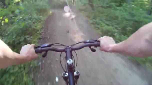 Ciclismo de montaña en un bosque. POV Punto de vista original 2 — Vídeos de Stock