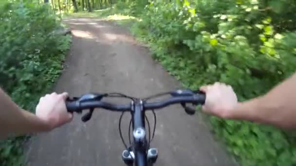 Ciclismo de montaña en un bosque. POV Punto de vista original 3 — Vídeos de Stock