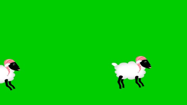 Schafe zählen, die auf dem grünen Bildschirm springen — Stockvideo