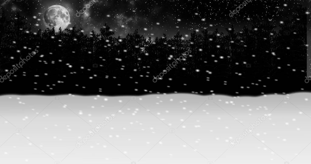 moving through night winter snow forest animation