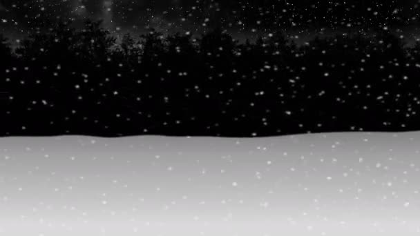 Bewegung Durch Die Nacht Winter Schnee Wald Animation Illustration Rendern — Stockvideo