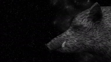 Yaban domuzu 2019 ile imzalamak bir yıldızlı gökyüzü animasyon