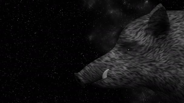 Wild zwijn met 2019 ondertekenen op de animatie van een sterrenhemel — Stockvideo