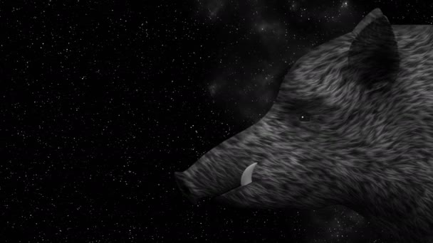 Jabalí salvaje en una animación de fondo cielo estrellado — Vídeos de Stock
