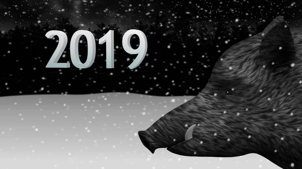 Yaban domuzu yeni yıl 2019 kış orman