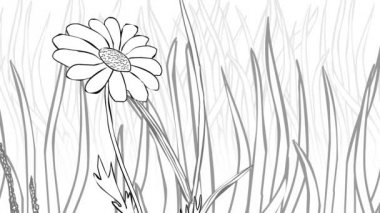 Birbirini koruyan çiçekler çizgi film animasyonu