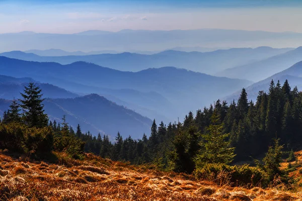 Krásná Horská Krajina Večerní Mlhy Nad Karpat — Stock fotografie