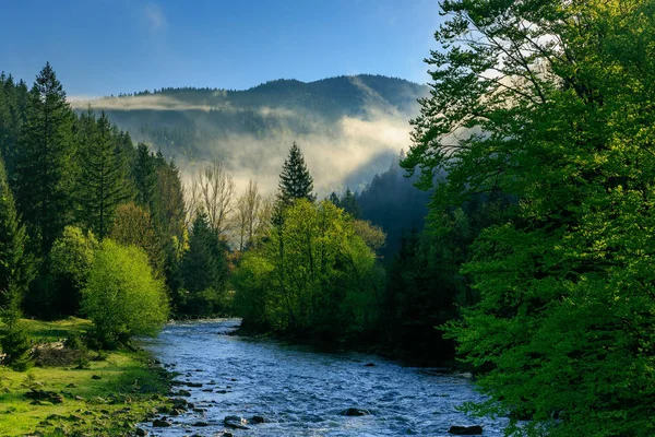 sabah sis bir dağa vadide