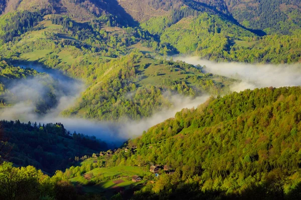 Mattina nebbia in una valle di montagna — Foto Stock